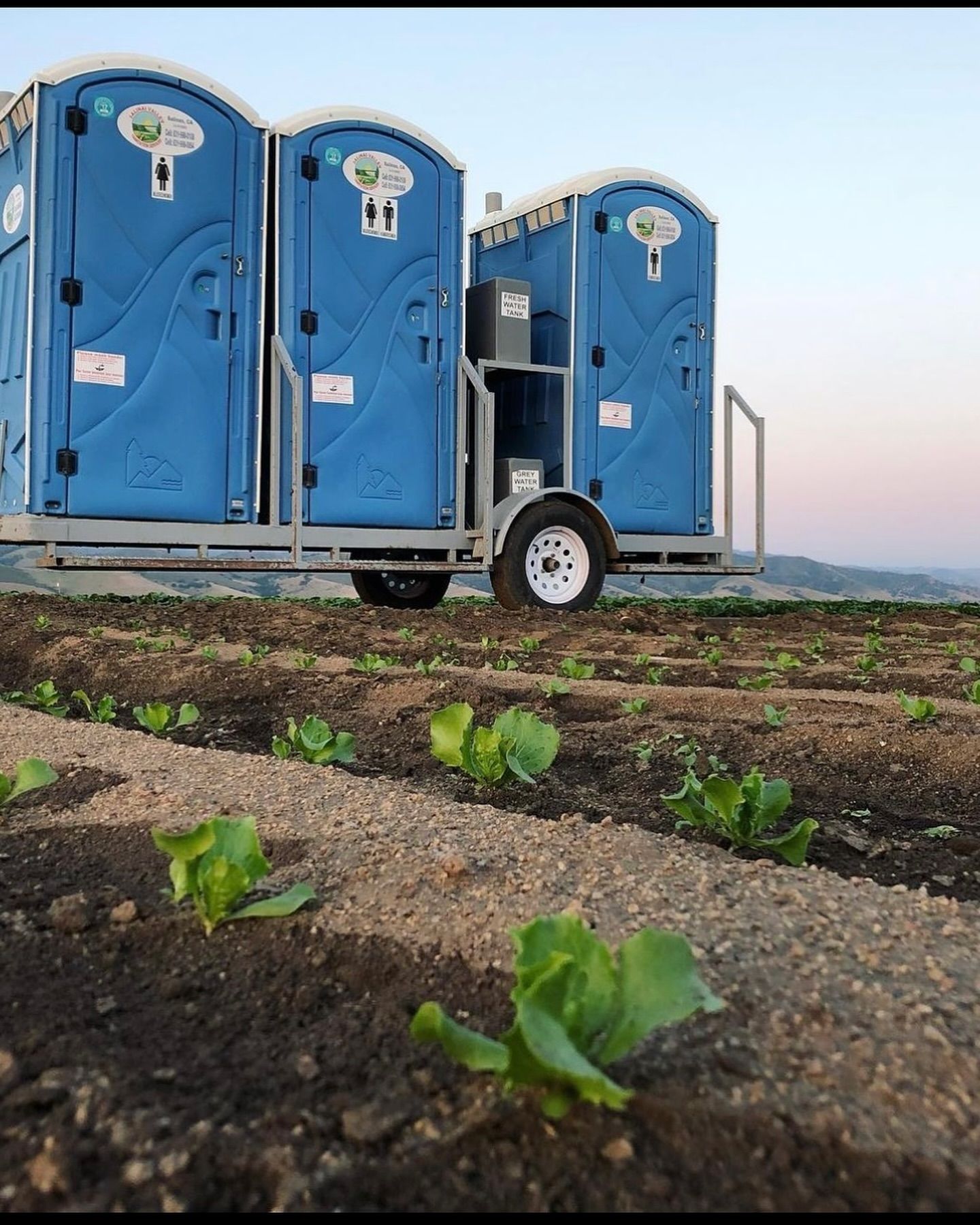 Two blue portable toilets on a trailer in a field