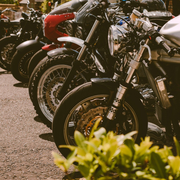 Row of parked motorcycles with chrome details and a blurred green plant in the foreground