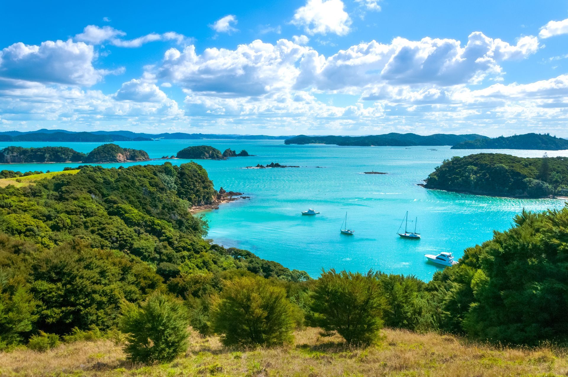 Bright turquoise water dotted with islands, boats; view from a grassy hill with lush green trees, under a blue sky.