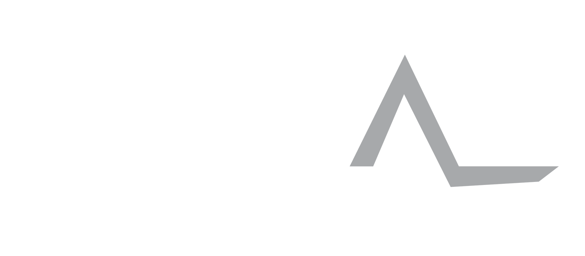 Stellar Maintenance Logo