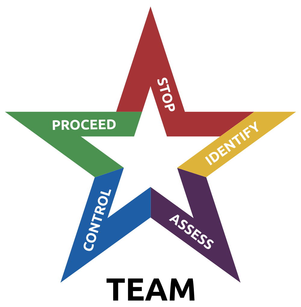 Five-pointed star diagram: STOP (red), IDENTIFY (yellow), ASSESS (purple), CONTROL (blue), PROCEED (green); TEAM at base.