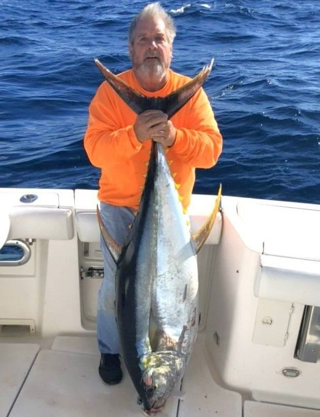 Yellowfin tuna - delicious and mean