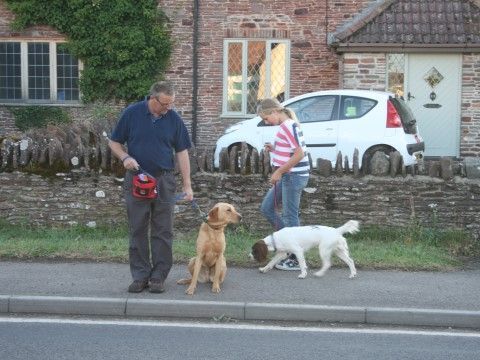 Pet Dog Training