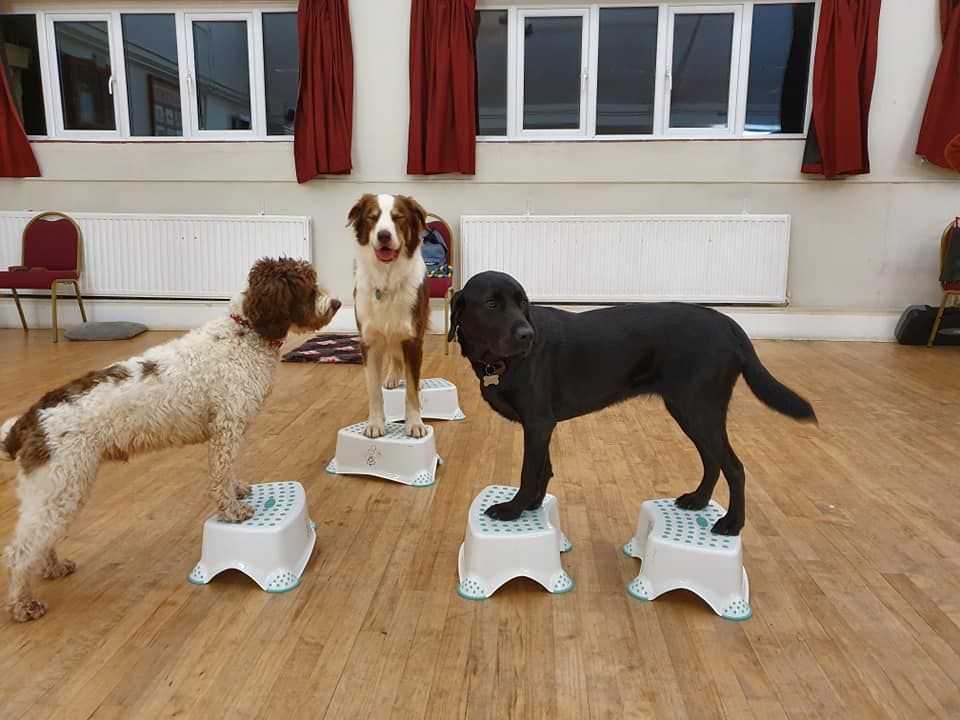 Club Classes