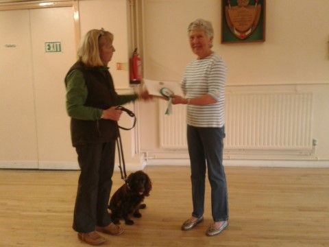 Dog Obedience Classes