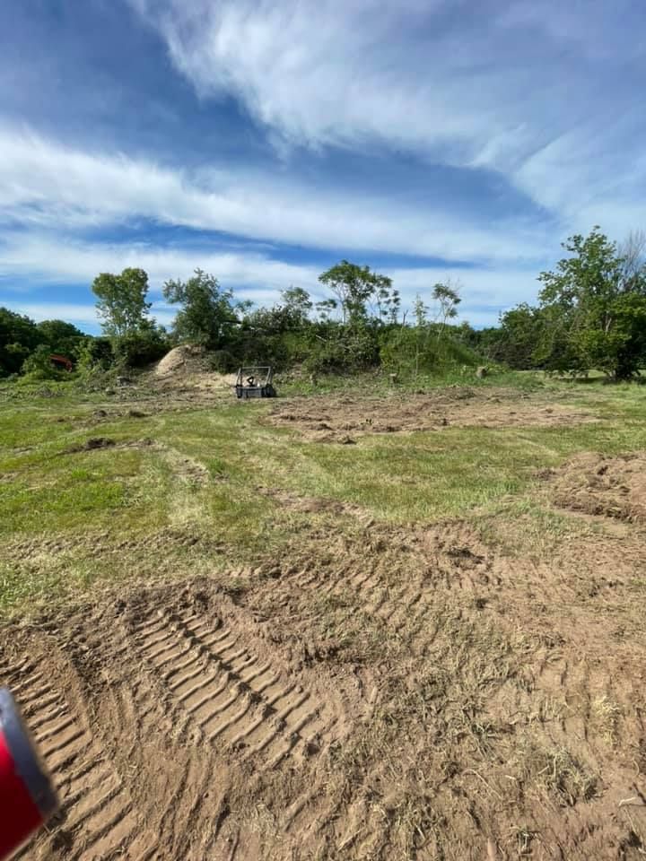 Dirt clearing with tire tracks, scattered trees, and a blue sky with wispy clouds