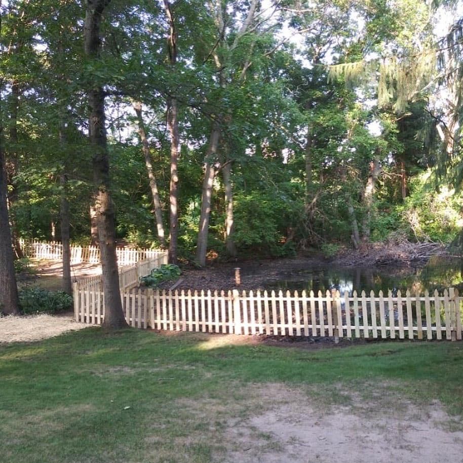 Leafy backyard with a white picket fence, trees, and grass in warm sunlight