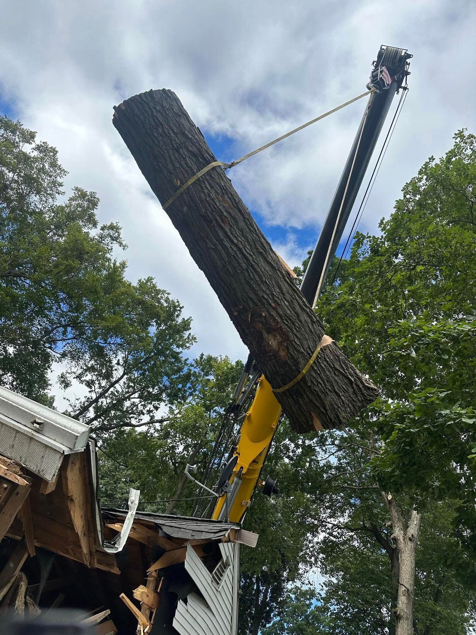 Yellow crane lifting a large log above a damaged roof amid trees