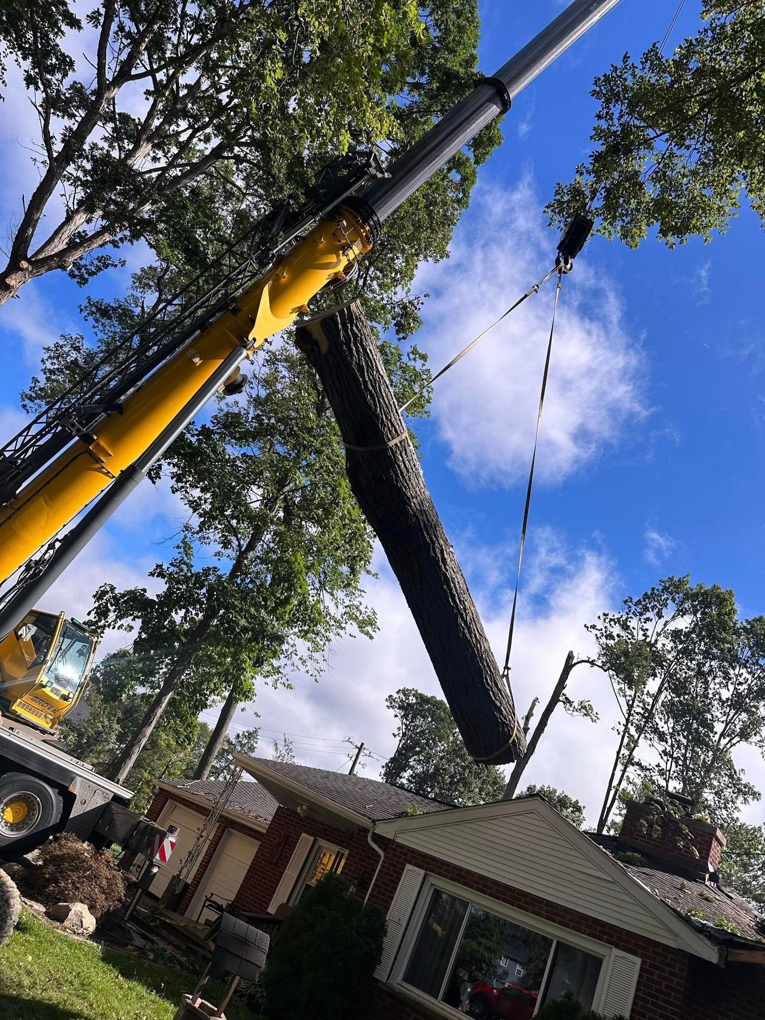 Crane lifting a large tree trunk over a house in a residential yard
