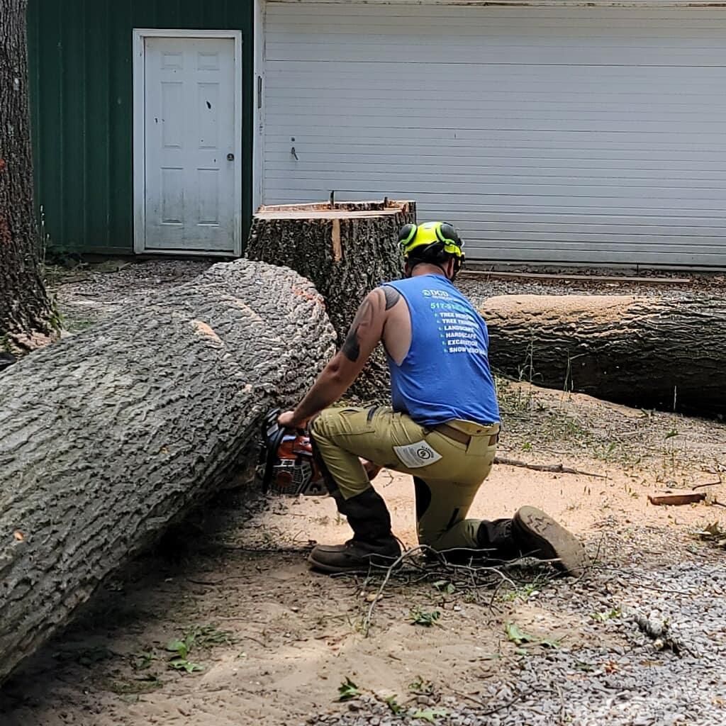 Worker in a blue shirt cutting a large fallen tree trunk outdoors near a building.