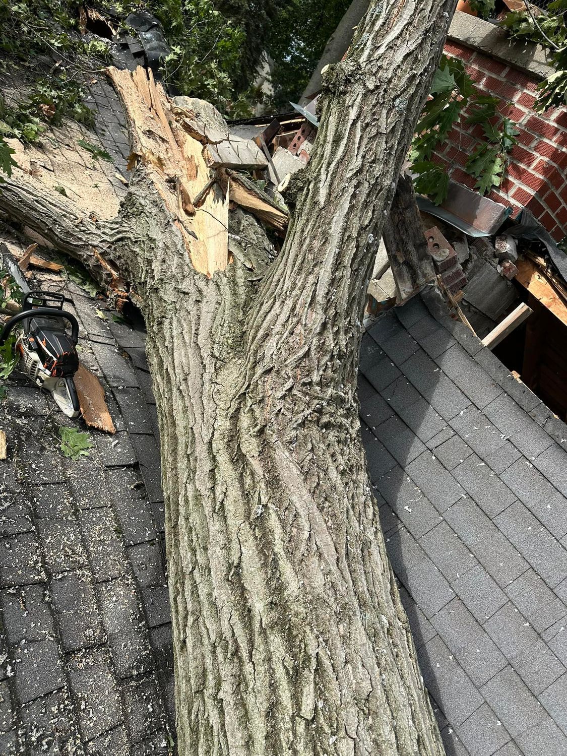 Large fallen tree trunk and broken branches lying across a shingled roof near a brick house.