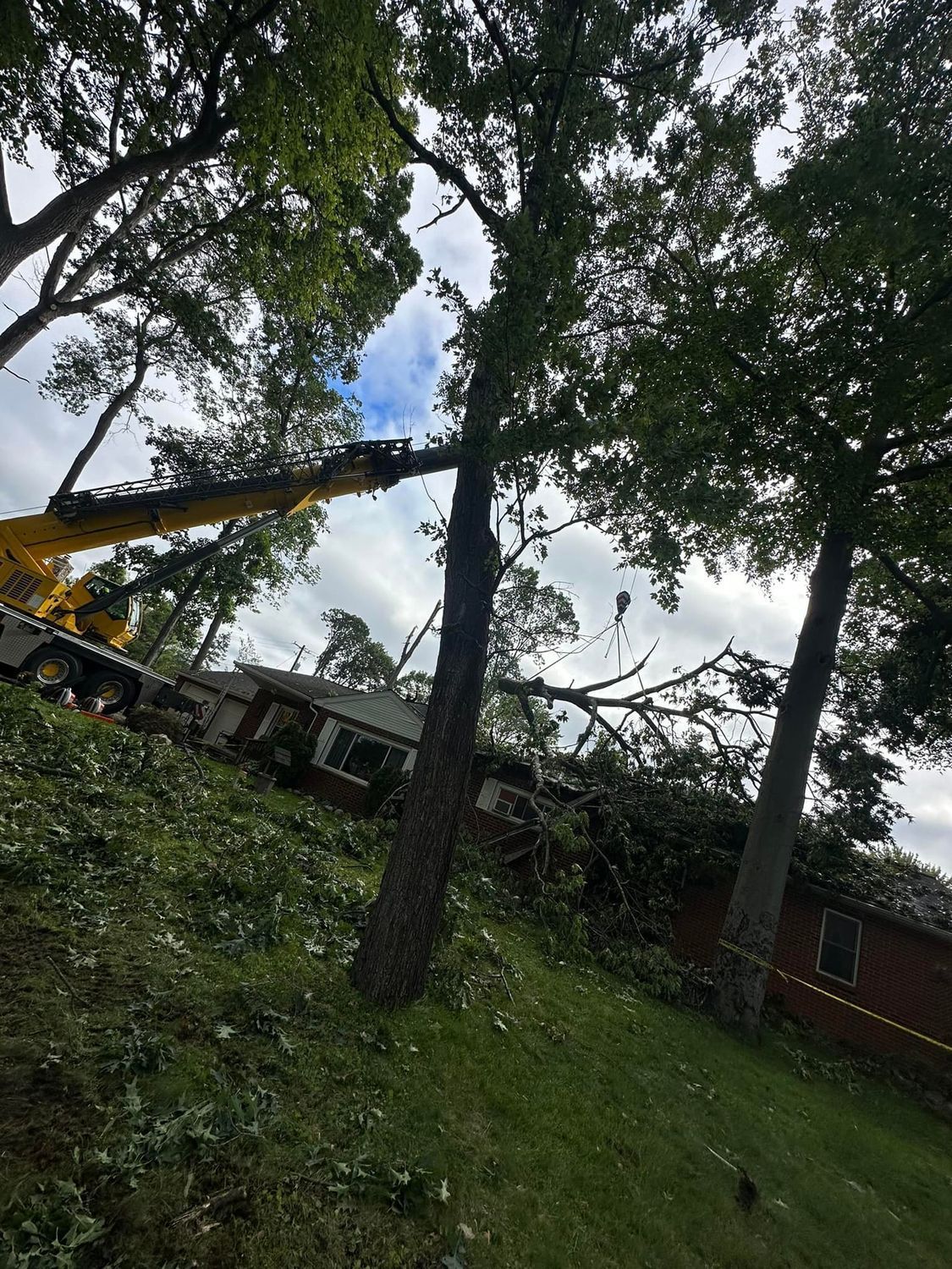 Yellow crane lifting tree branches in a leafy yard beside houses and a brick building under cloudy sky