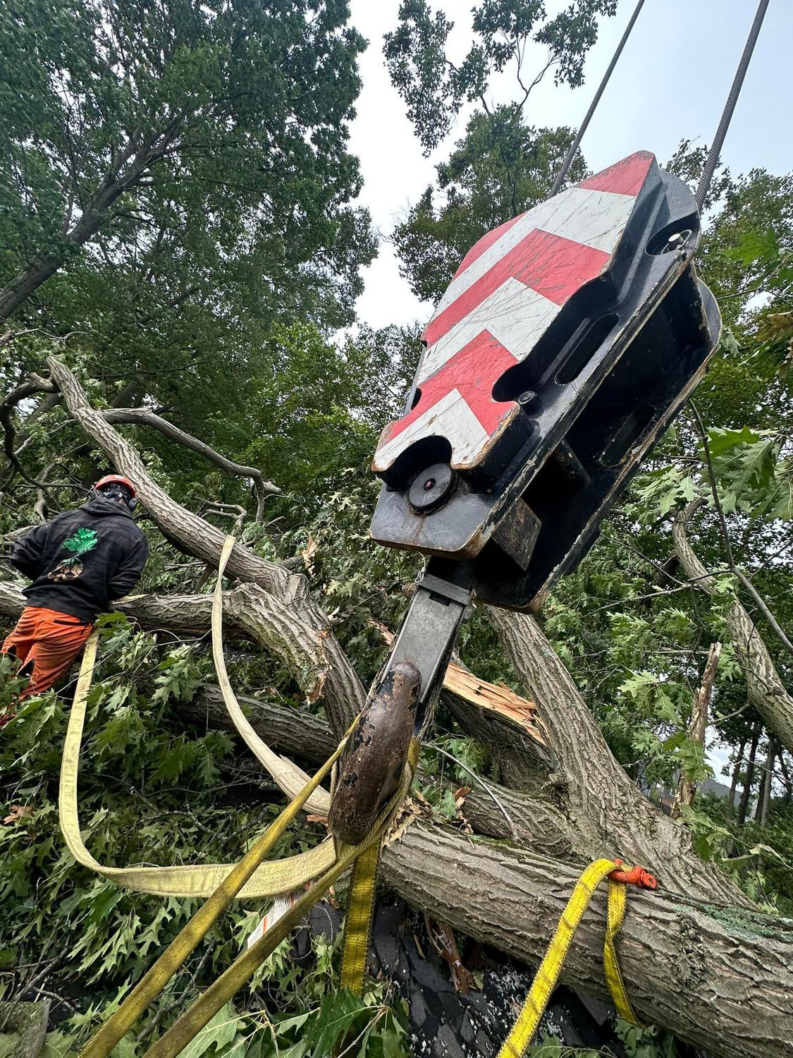 Worker clearing fallen tree with a crane attachment and yellow straps in a wooded area
