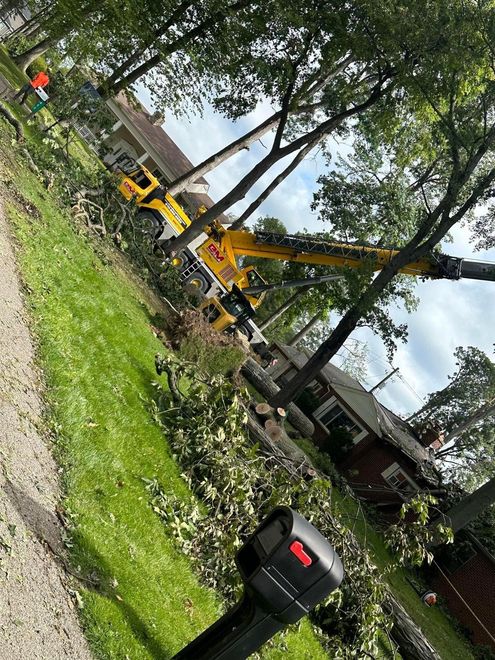 Yellow excavator and dump truck in a tree-lined yard near a house, with grass in the foreground.