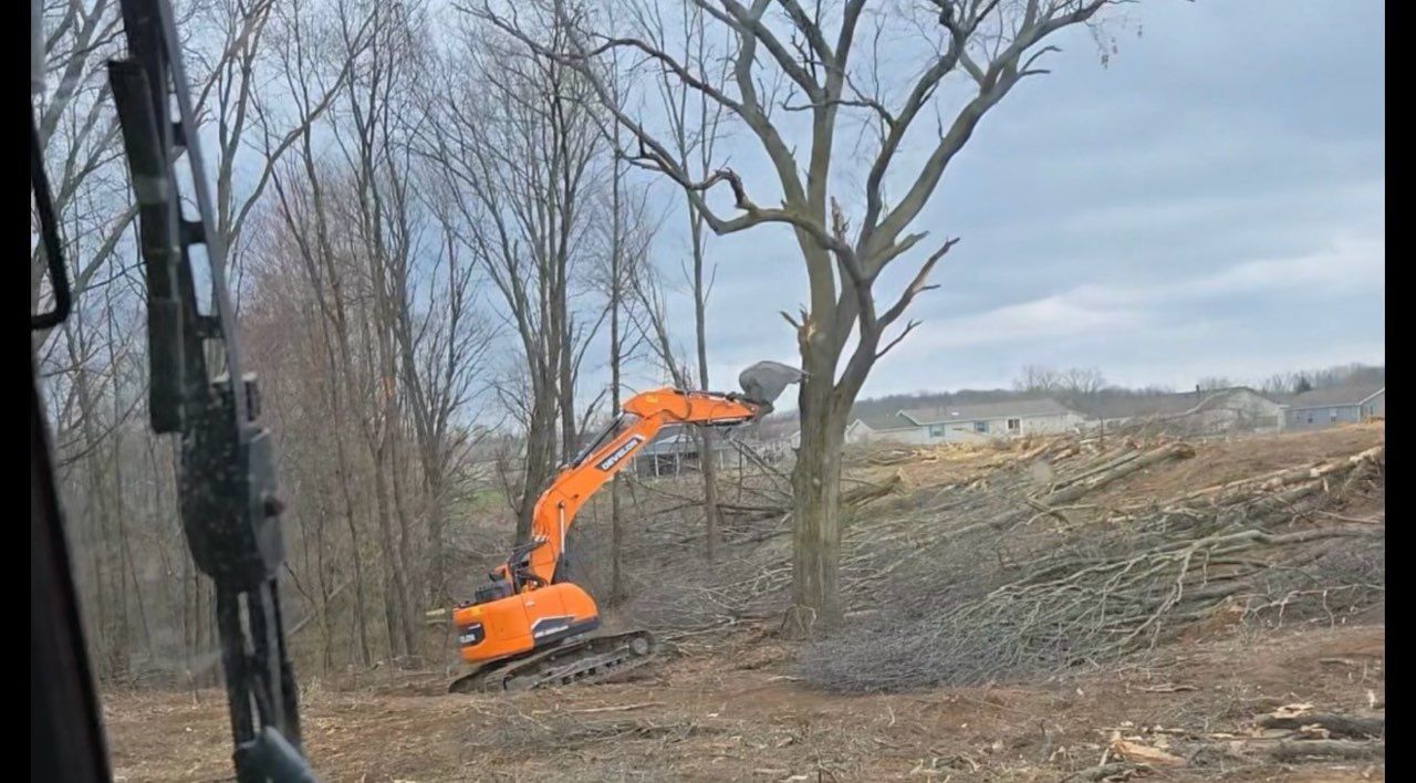 Orange excavator clearing brush on a wooded hillside near bare trees