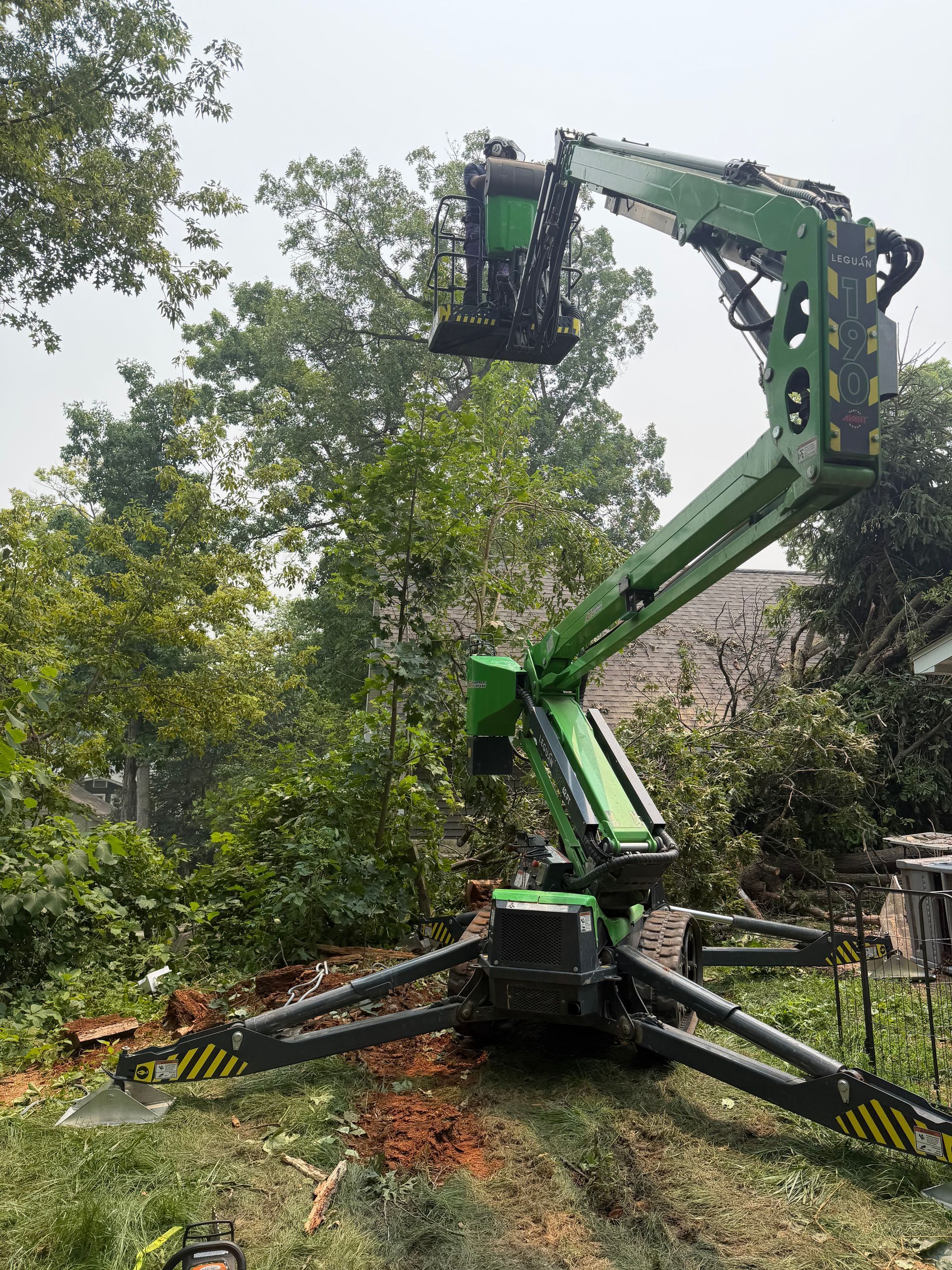 Green excavator with extended boom cutting tree branches in a wooded yard