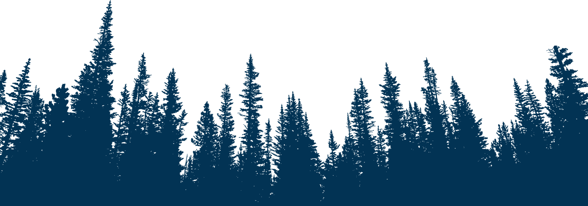 Blue silhouette of pine trees against a white sky