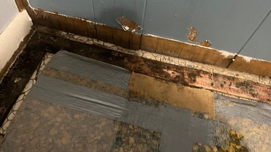 damage on flooring and baseboards in columbia, mo home
