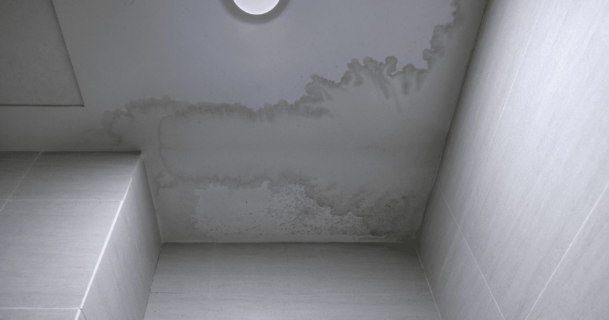 damage restoration