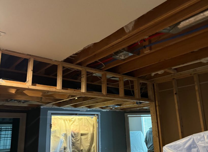 drywall and ceiling removal