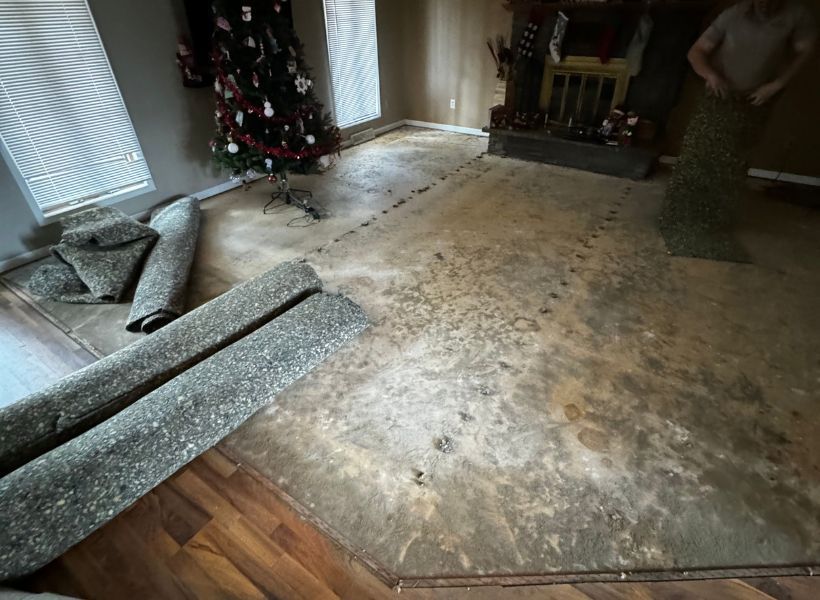 living room demo