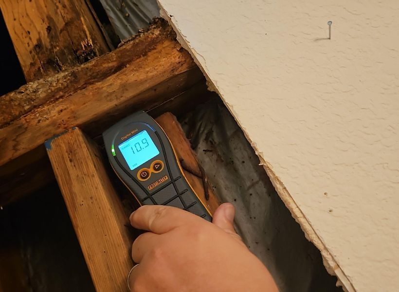 moisture meter 1
