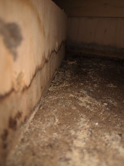 mold beneath the cabinets in columbia, mo home