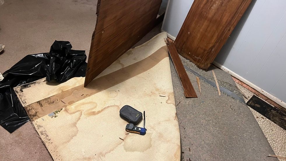 mold on carpet pad in columbia, mo home