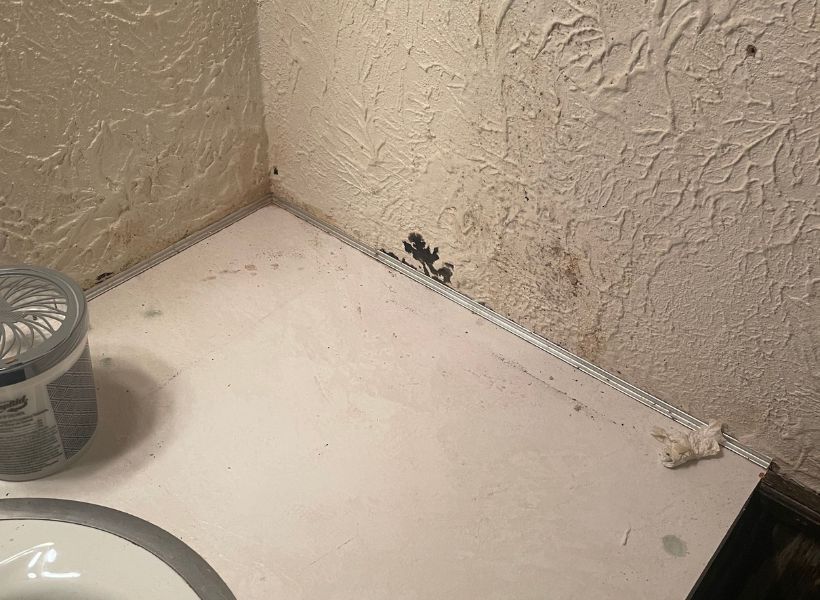 mold on wall 1