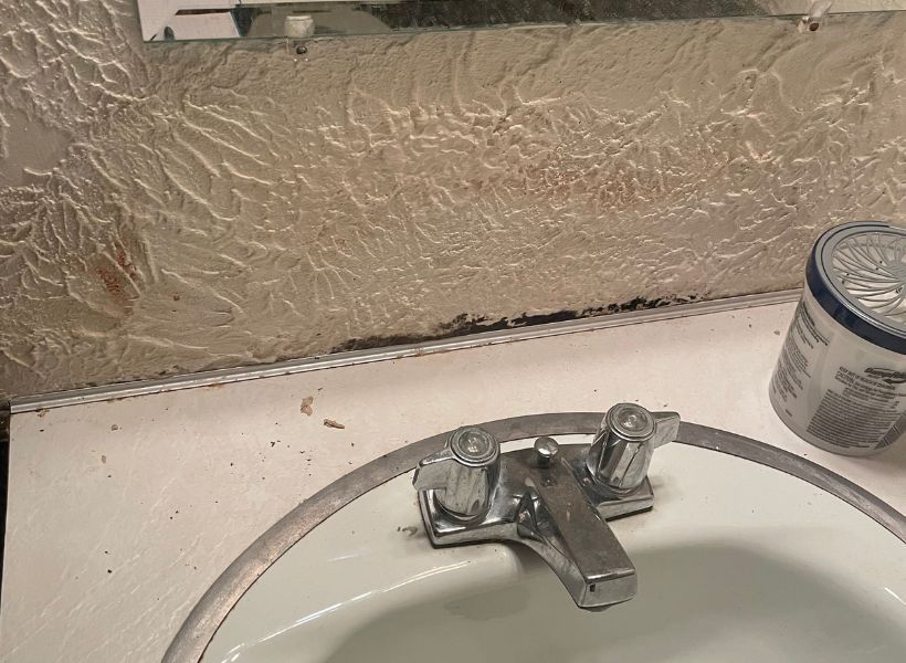 mold on wall 2