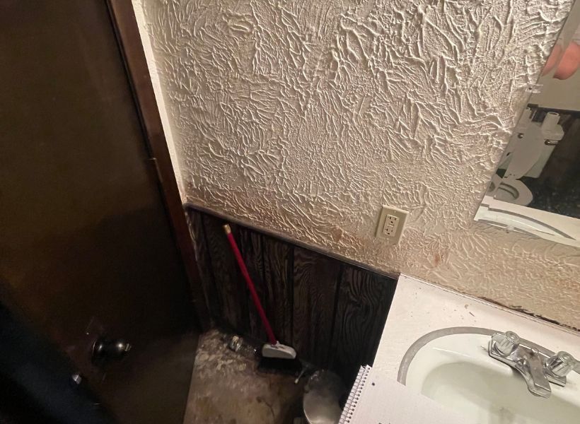 mold on wall 3