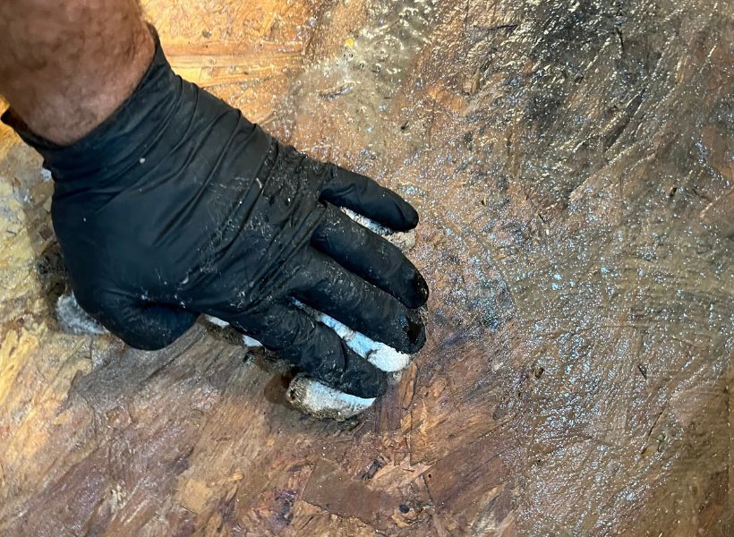 mold remediation