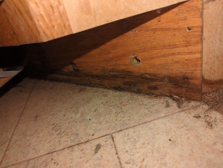 moldy kitchen cabinets in columbia, mo home