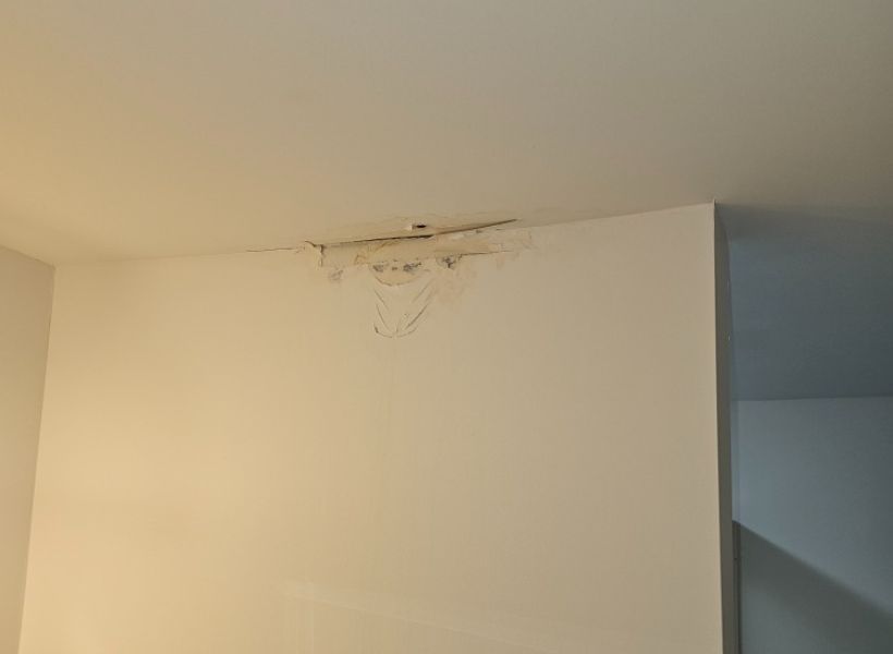 peeling paint and water damage in the bathroom walls