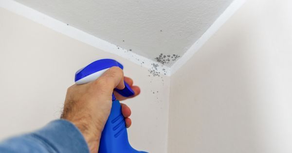 Spraying mold