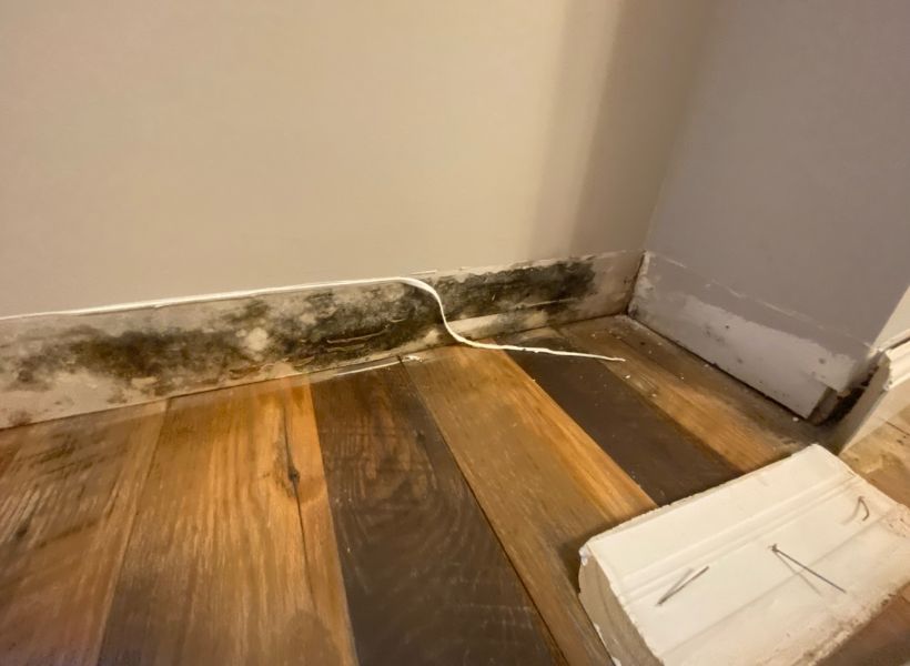trim removal and visible mold growth