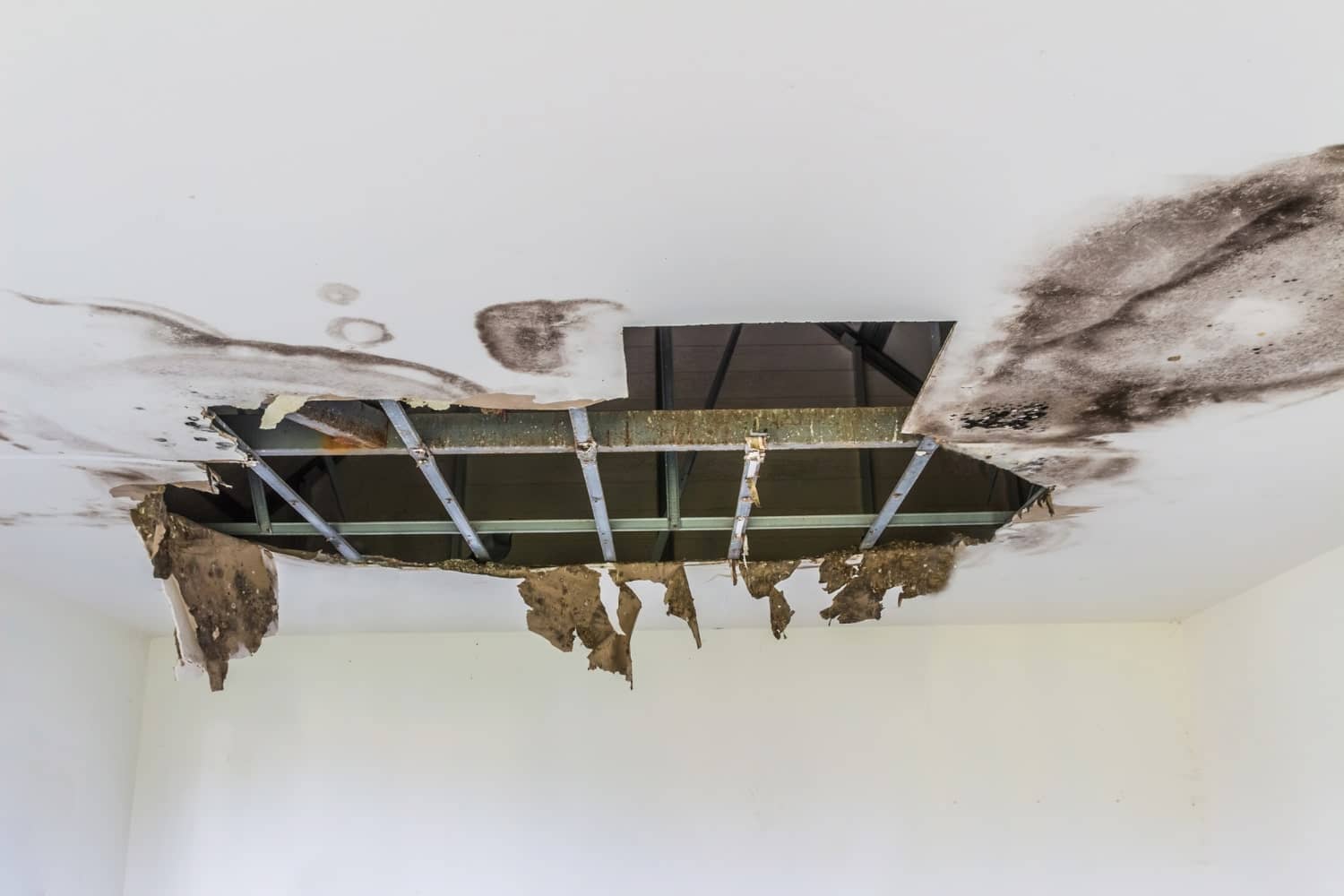 water damage cleanup