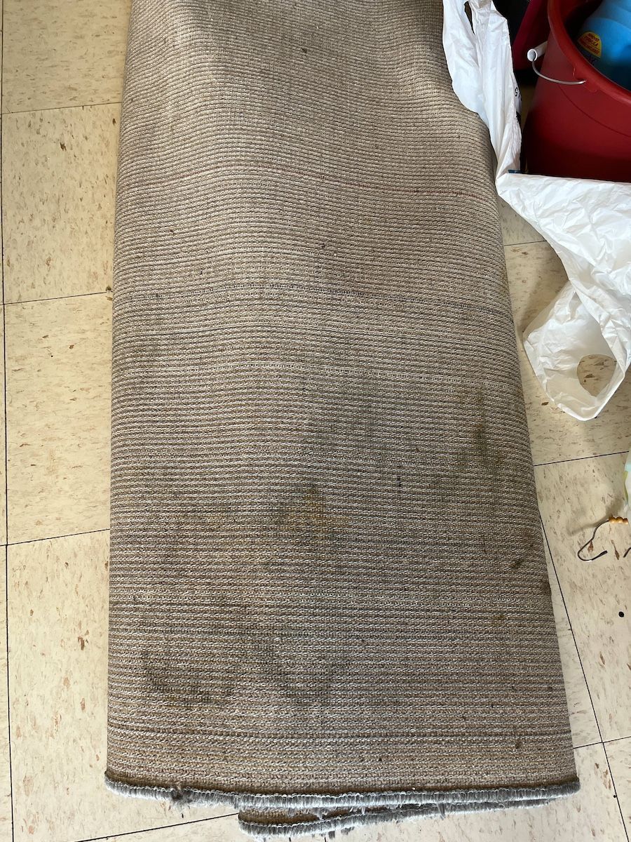 water damaged rug in a fulton, mo apartment