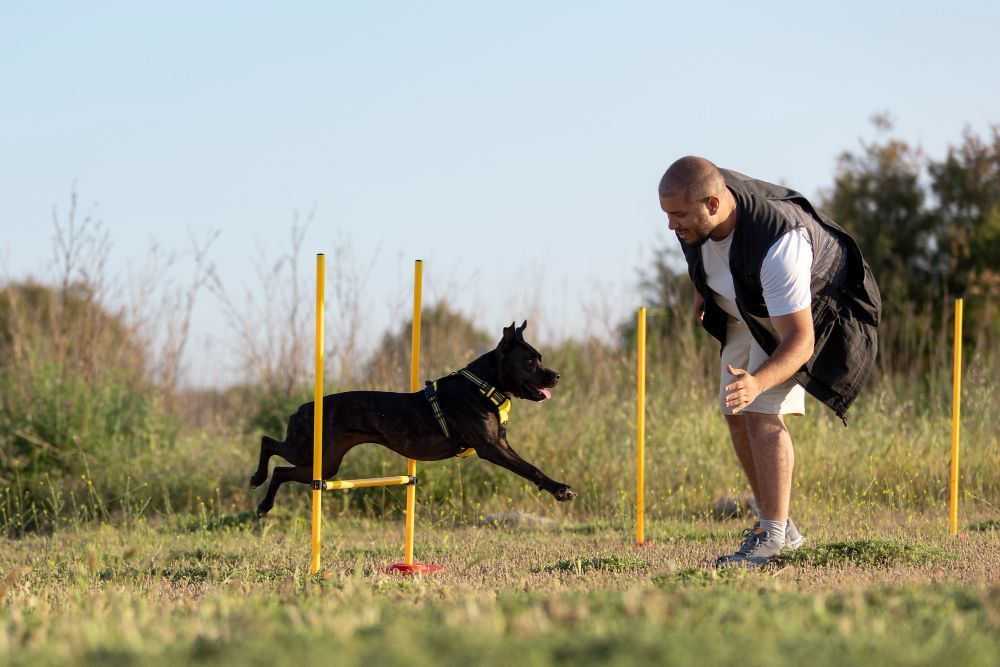 Trainer and Black Dog Trainer and Black Dog