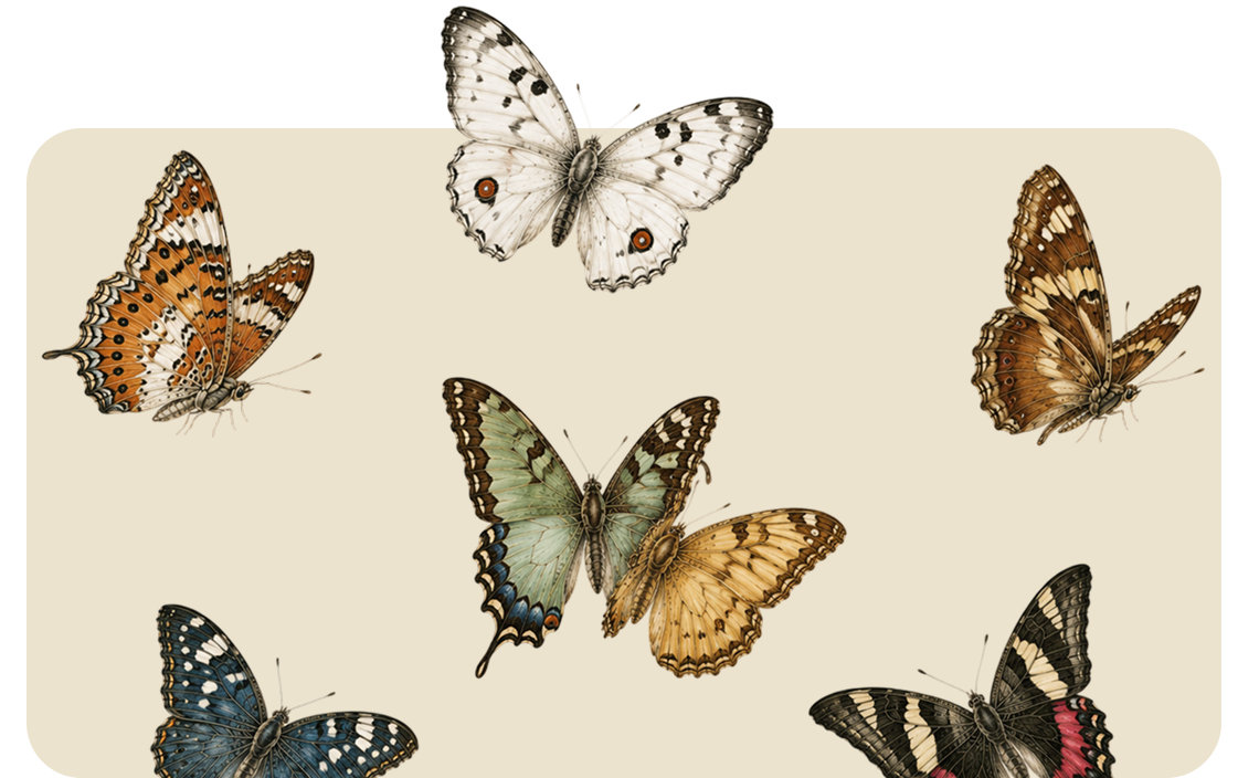 Assorted butterflies in orange, white, green, brown, and blue on a light beige background