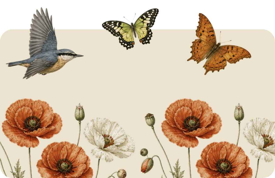Three butterflies above orange poppies on a beige background