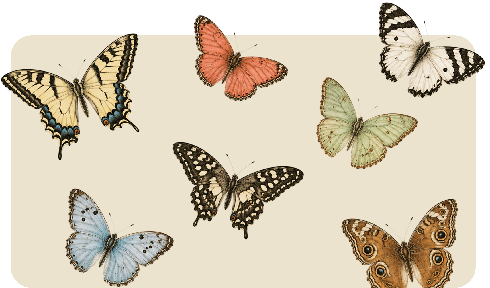 Five butterflies in pastel colors on a beige background