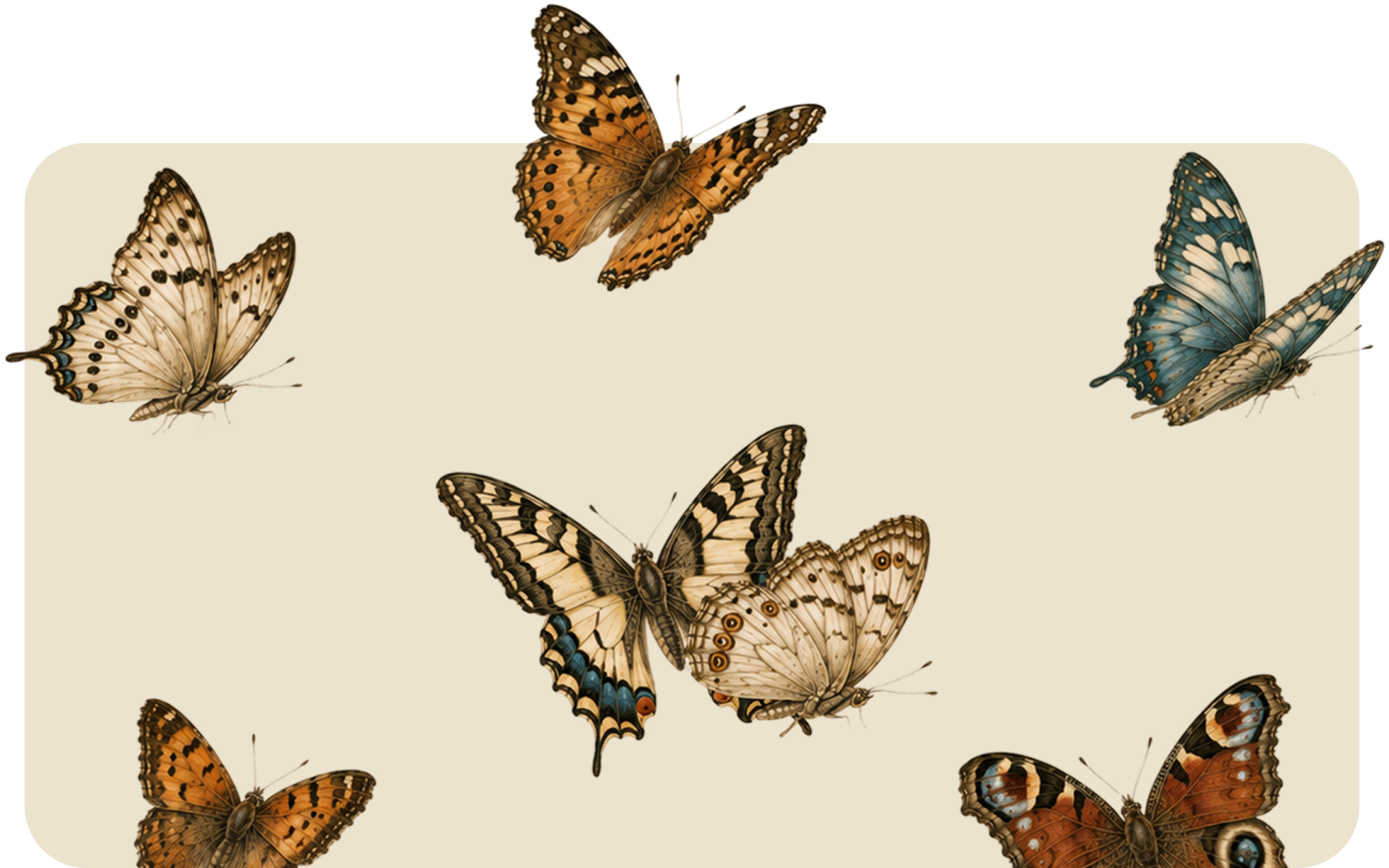 Butterflies in beige frame, with orange, blue, and cream wings arranged around the edges.