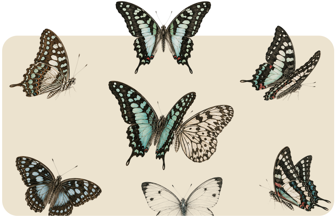 Assorted butterflies in black, teal, and cream on a beige background