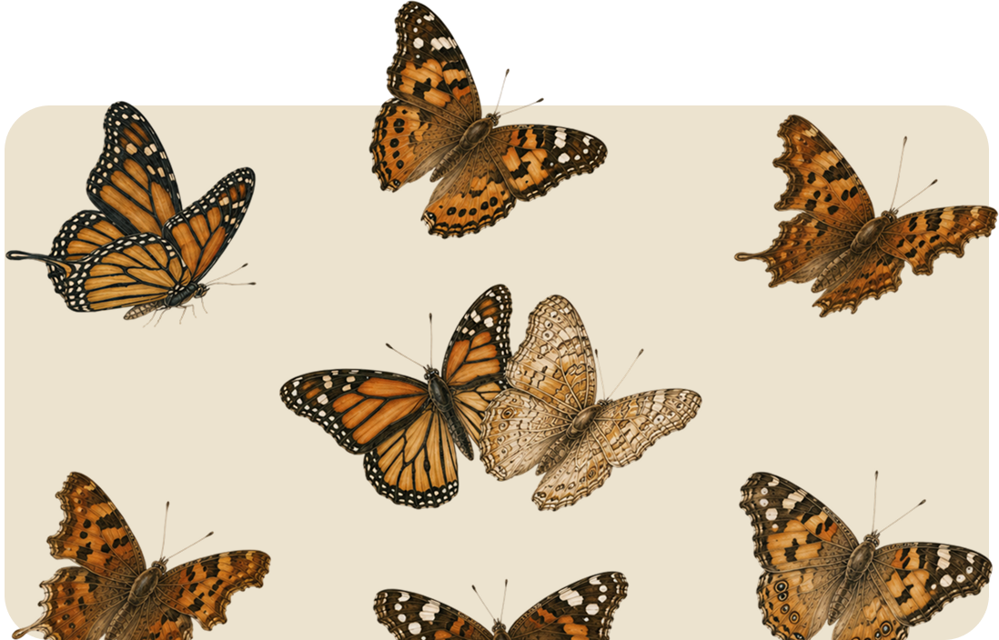Orange and black butterflies scattered on a beige background