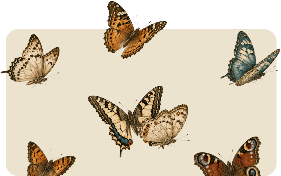 Several colorful butterflies in flight on a light beige background.
