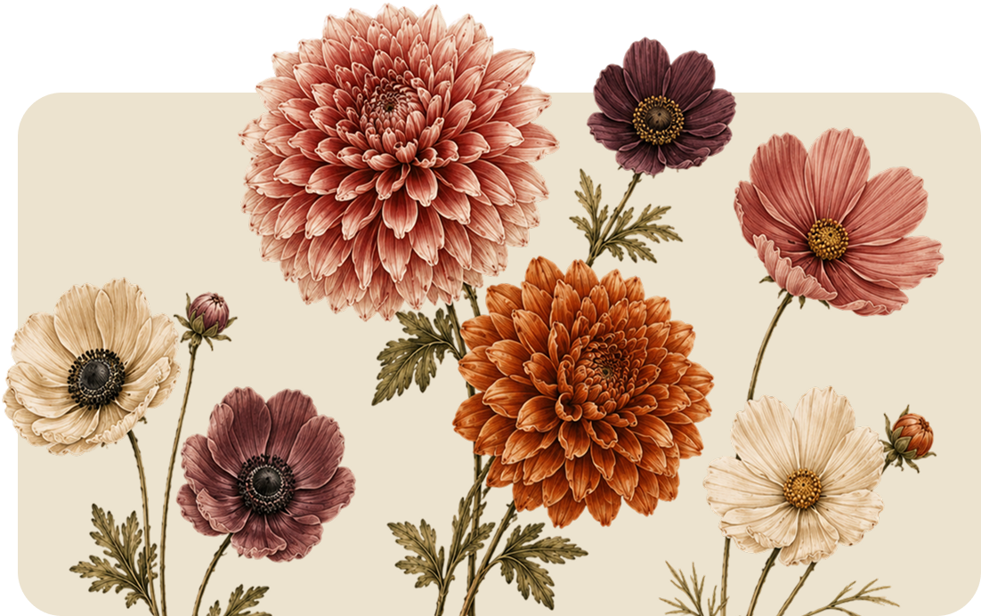 Assorted pastel and burgundy chrysanthemum flowers arranged on a cream background