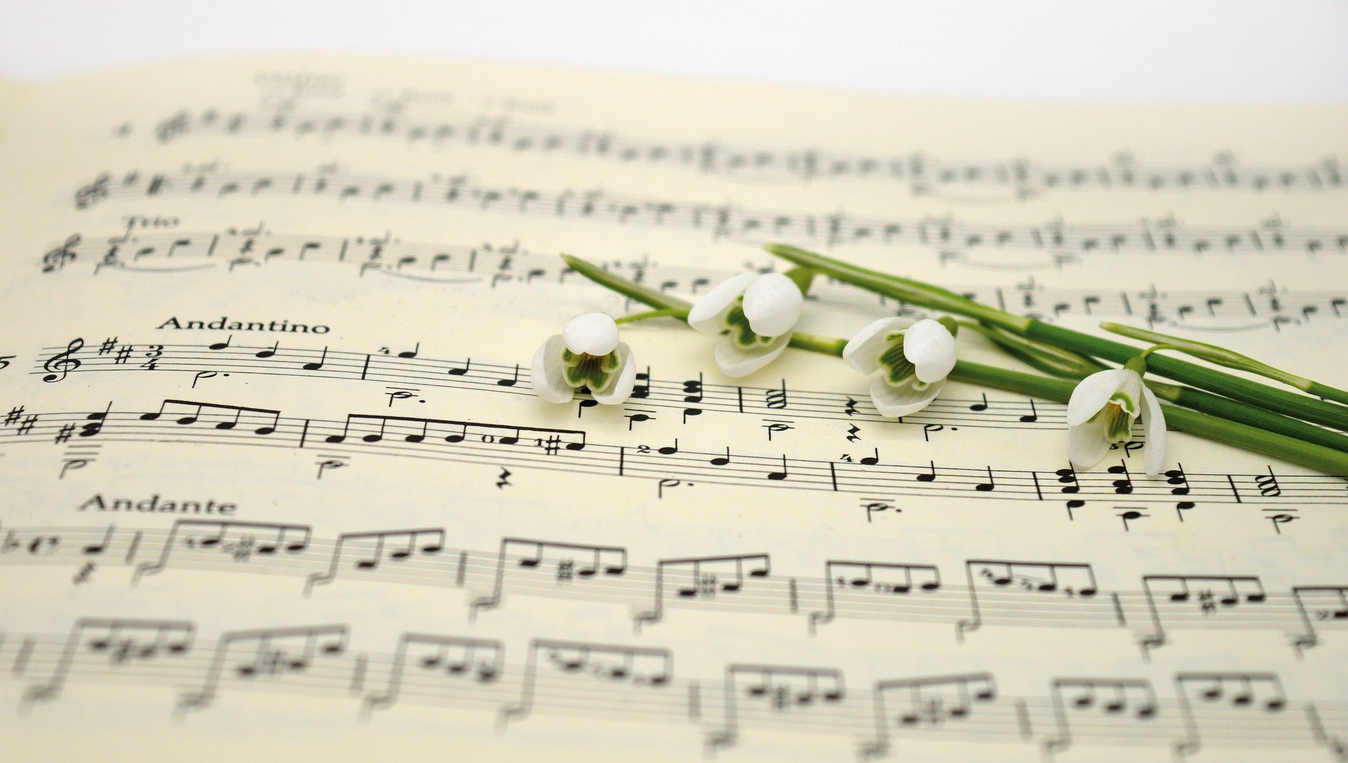 song music