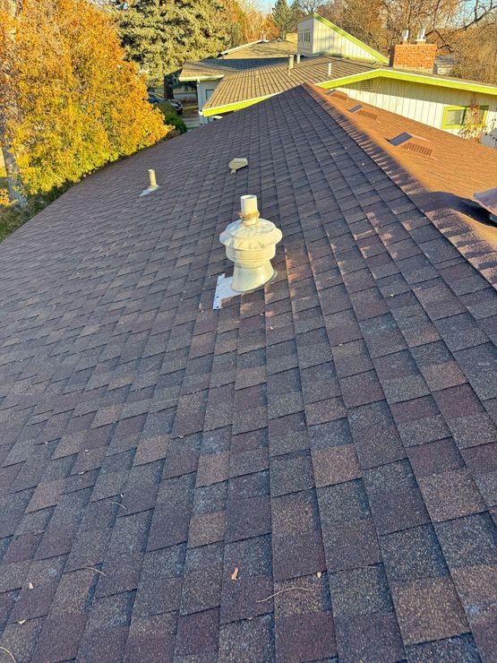 Rooftop with dark shingles, three vent pipes, and autumn trees in the background.