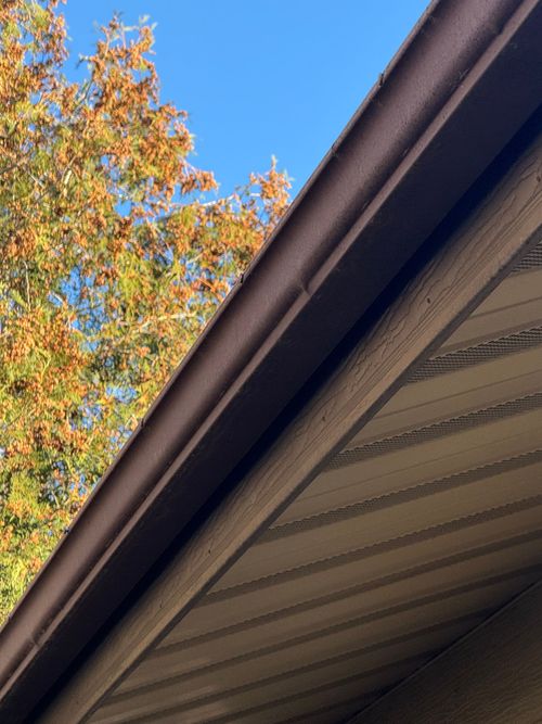 Autumn tree branches beside a house roof with brown gutters against a clear sky